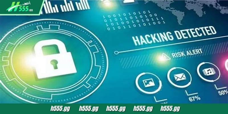 Privacy Policy at H555 needs to be clearly understood