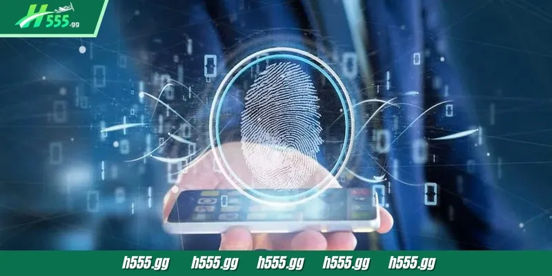 Terms and Conditions at H555 are very important